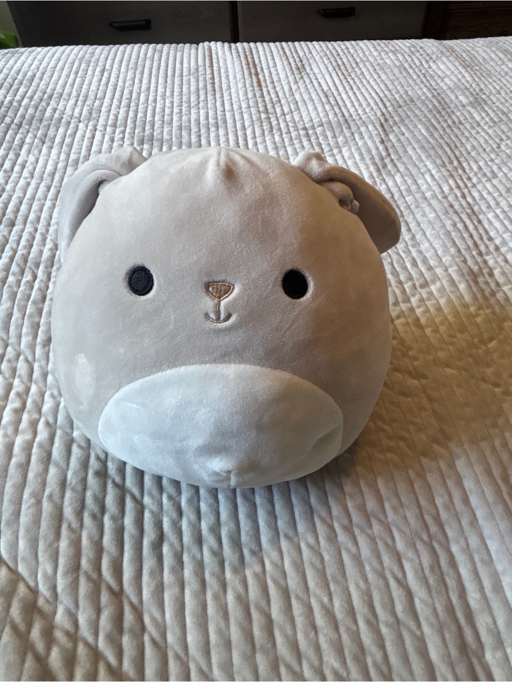 Squishmallows Valentina the Bunny Plush